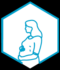 Perinatologist Icon